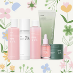 ANUA Basic 2 skincare bundle with 6 daily essentials including cleansing foam, toner, serum, lotion and pads