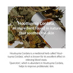 [MIXSOON] Heartleaf Essence 100ml