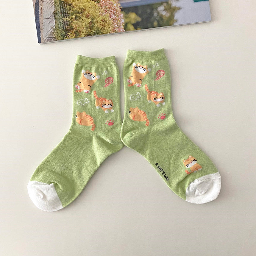 AURACASA Daily Women 5 Pairs Socks 05. Mint Blue set