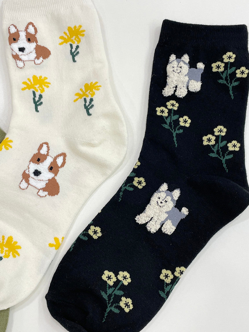 AURACASA Cute puppy character socks  귀여운 강아지 캐릭터 양말